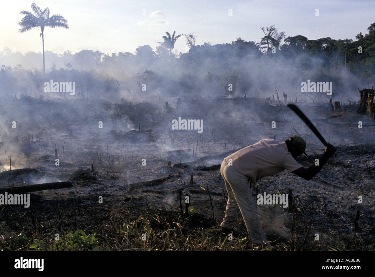 Amazon rain forest burning deforestation hi-res stock photography and ...