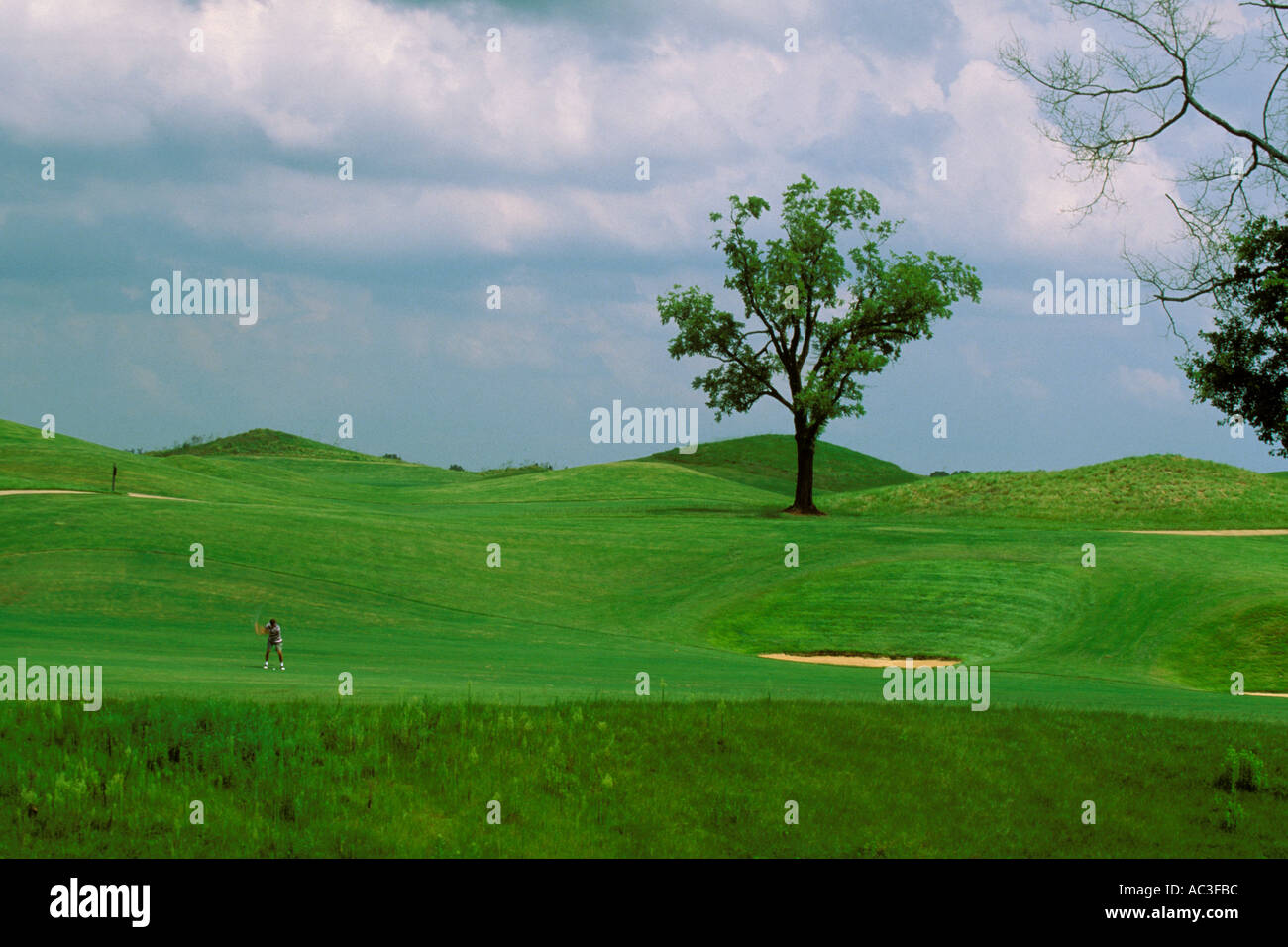 Alabama, Robert Trent Jones Golf Trail, Prattville, Capitol Hill, 17th