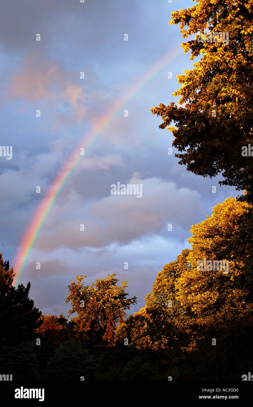 Red sky with trees hi-res stock photography and images - Alamy