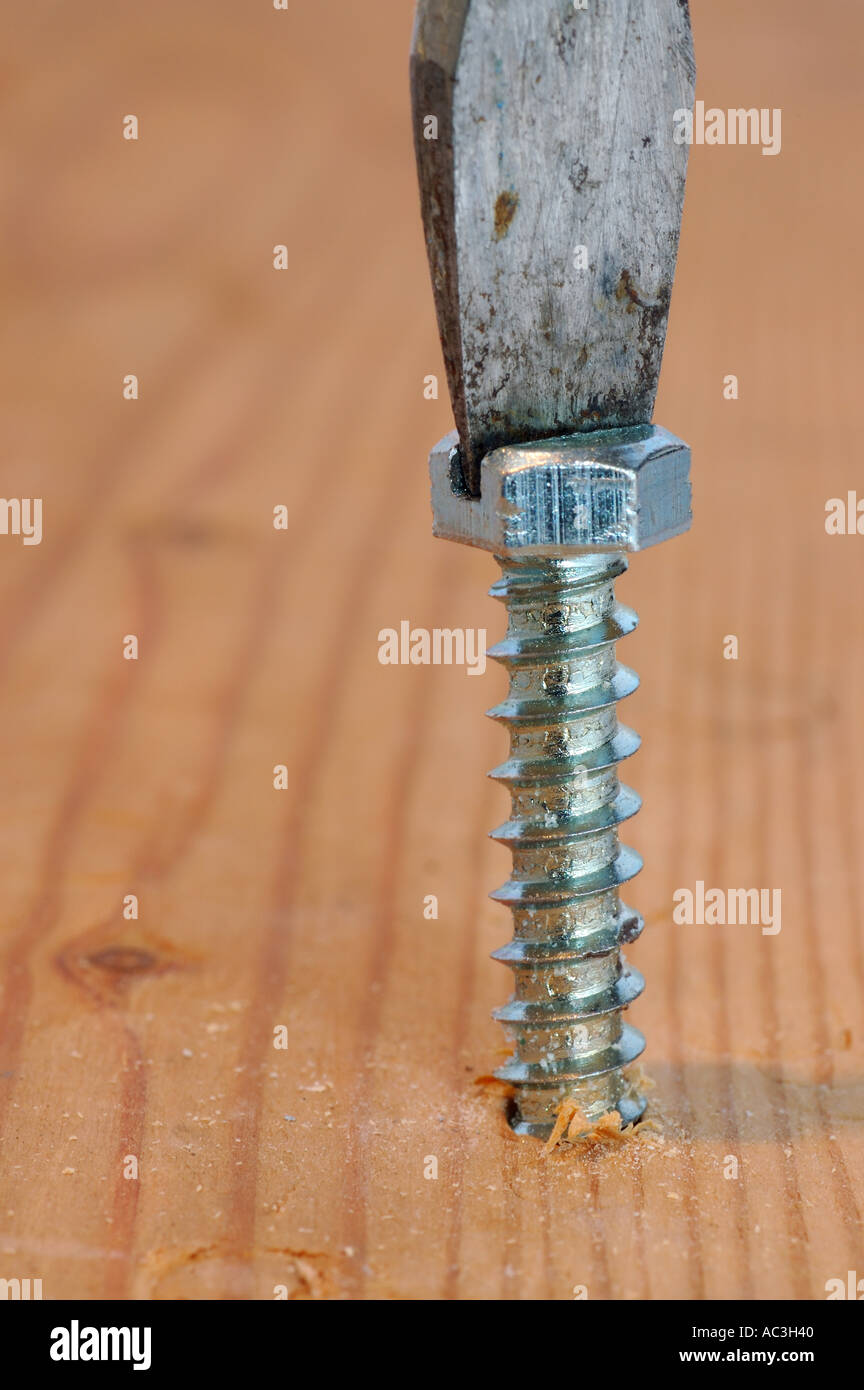 Turning a screw into wood with a screwdriver Stock Photo Alamy