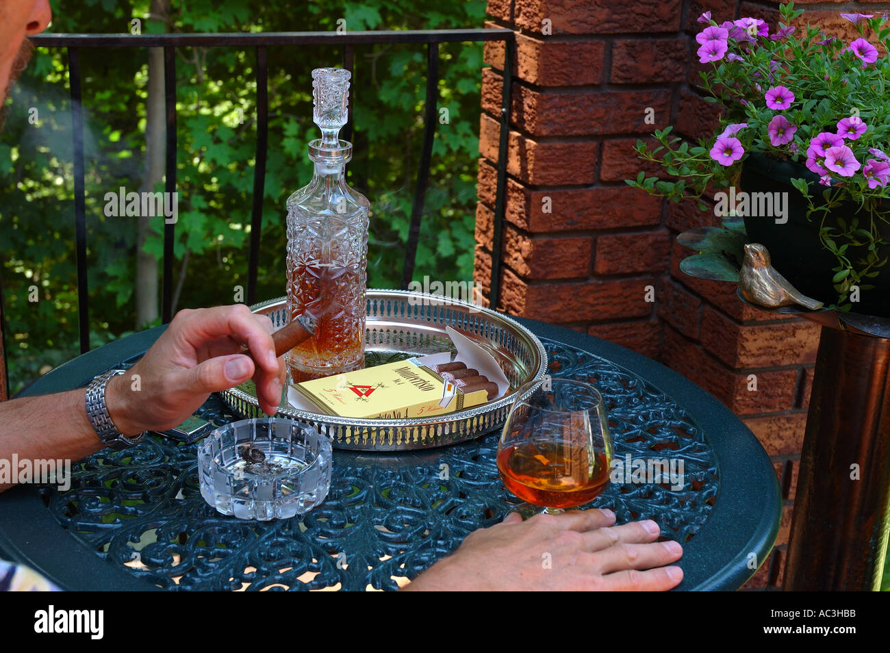 Puffing a cigar hires stock photography and images Alamy