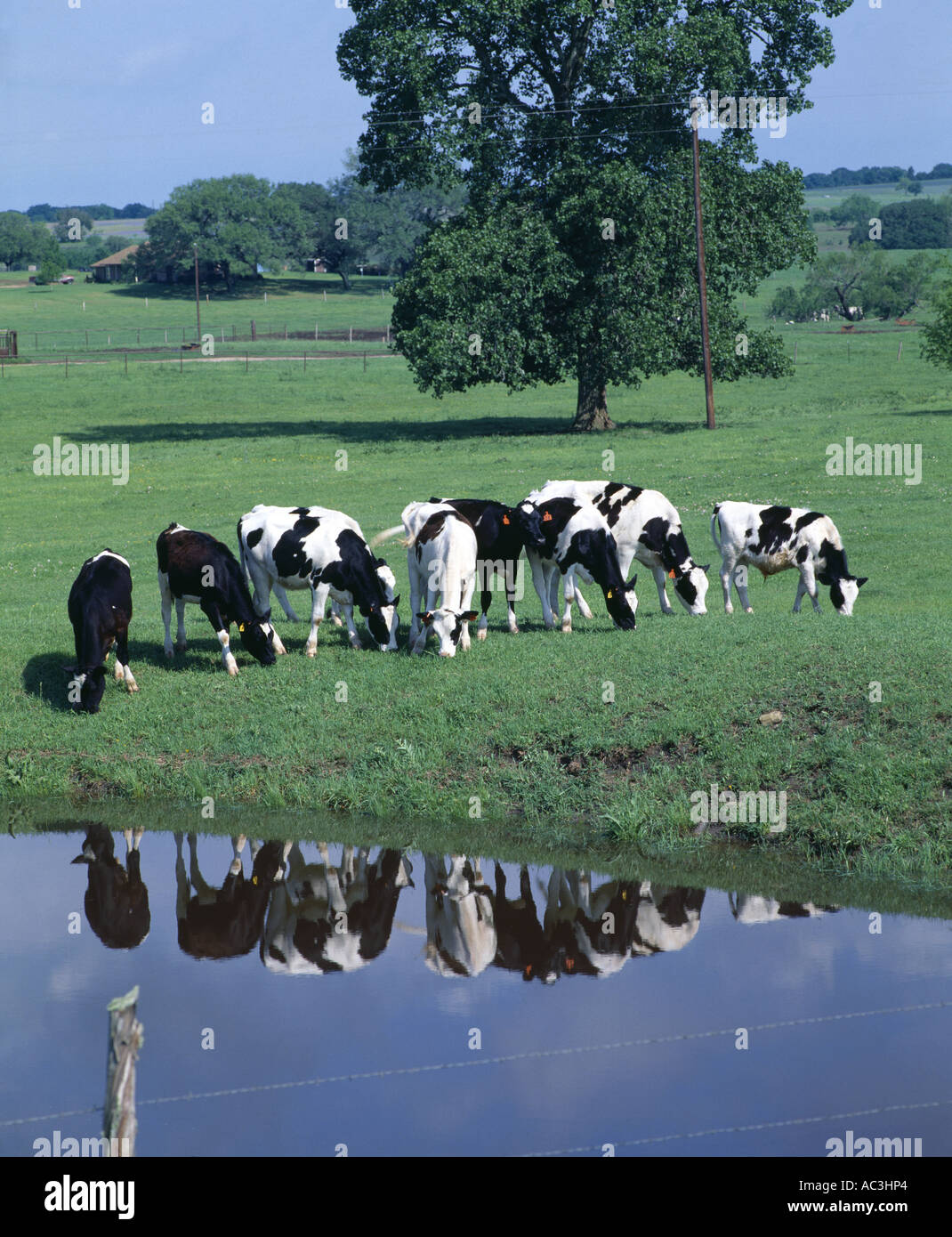 Excellent spot hires stock photography and images Alamy