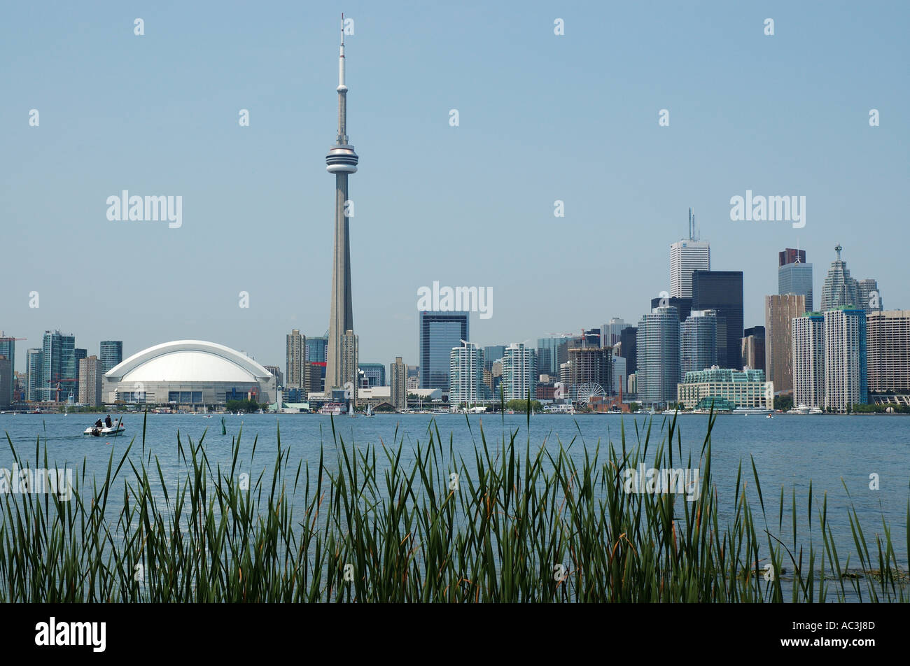 Toronto Skyline with CN Tower and Skydome and Reeds in foreground Stock Photo