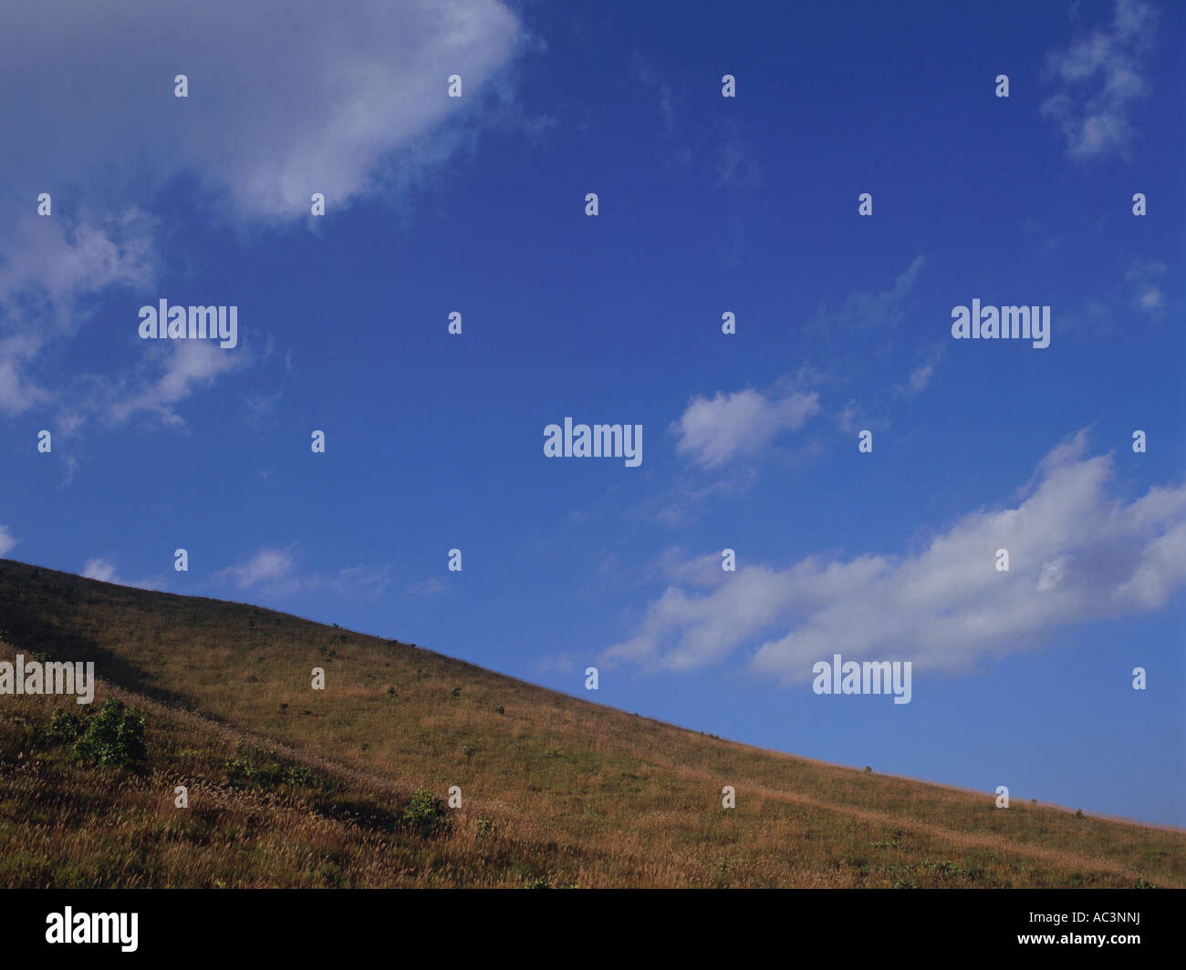 Kirigamine Nagano Prefecture Japan Stock Photo