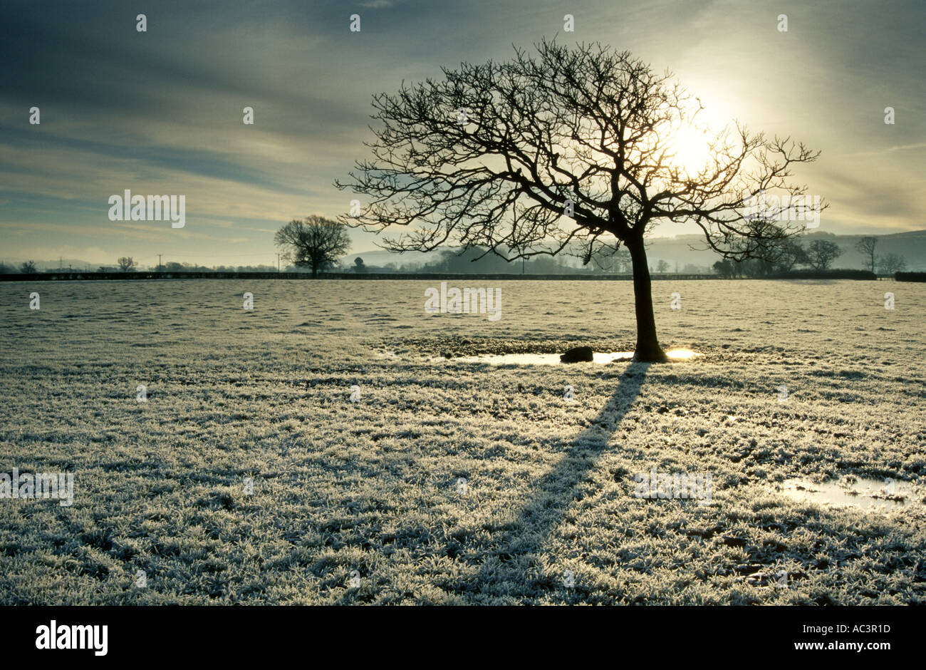 Wrington hi-res stock photography and images - Alamy