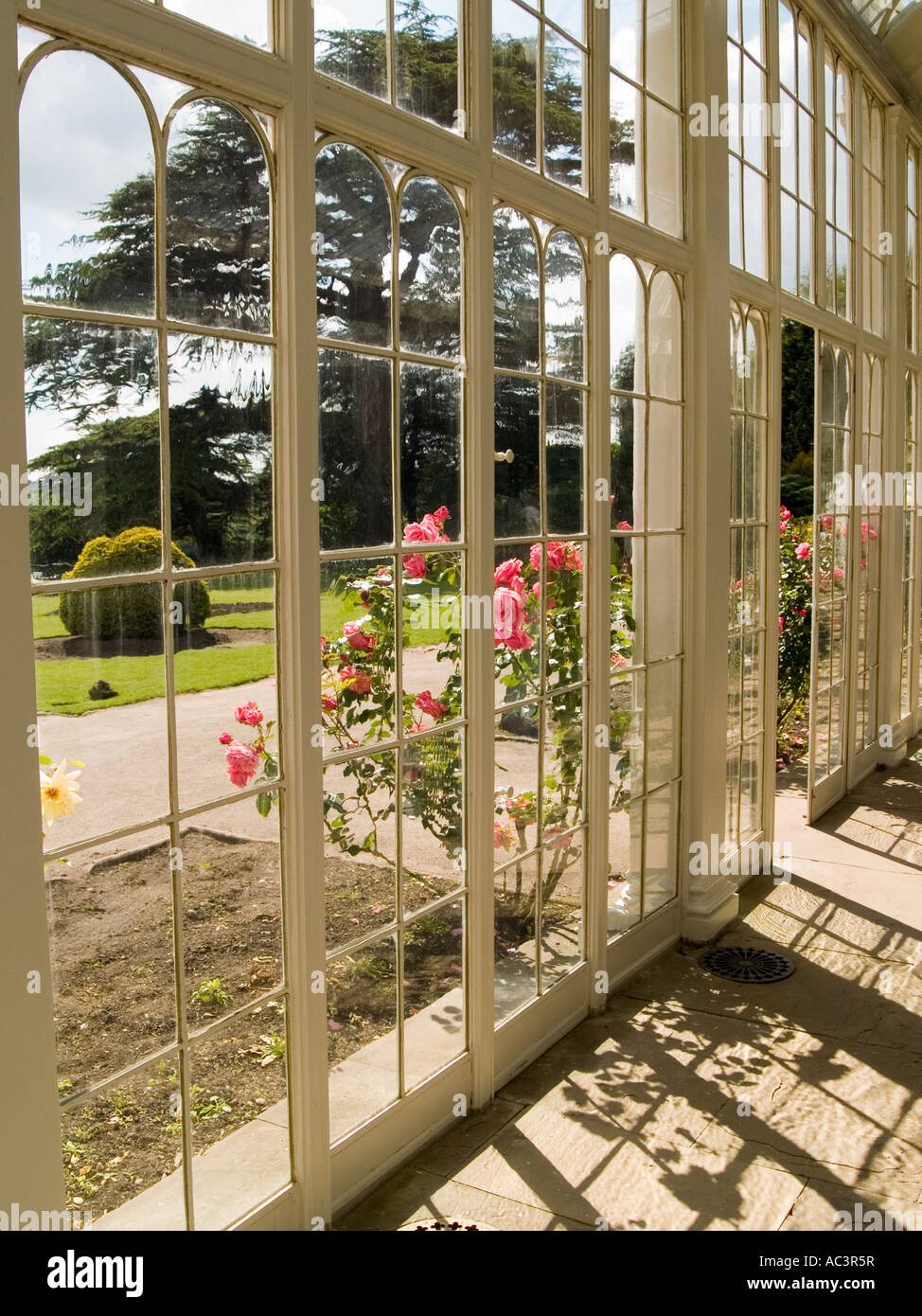 Looking out from the camellia house onto the flowers and gardens at