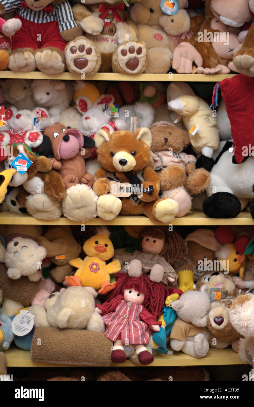 teddy bear toy shop