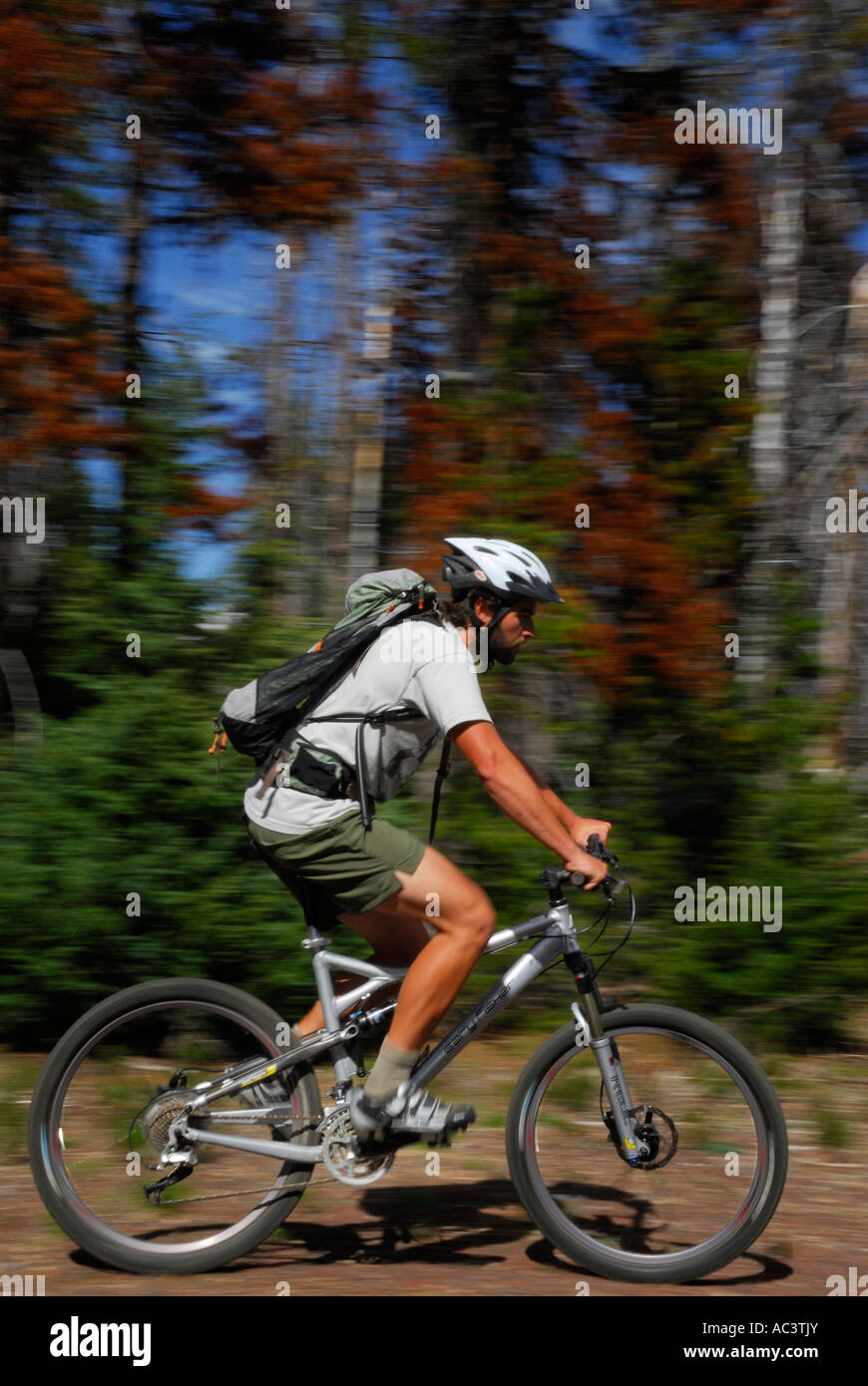 Male mountain bike rider zooming along forest trail Deschutes National Forest Oregon Stock Photo