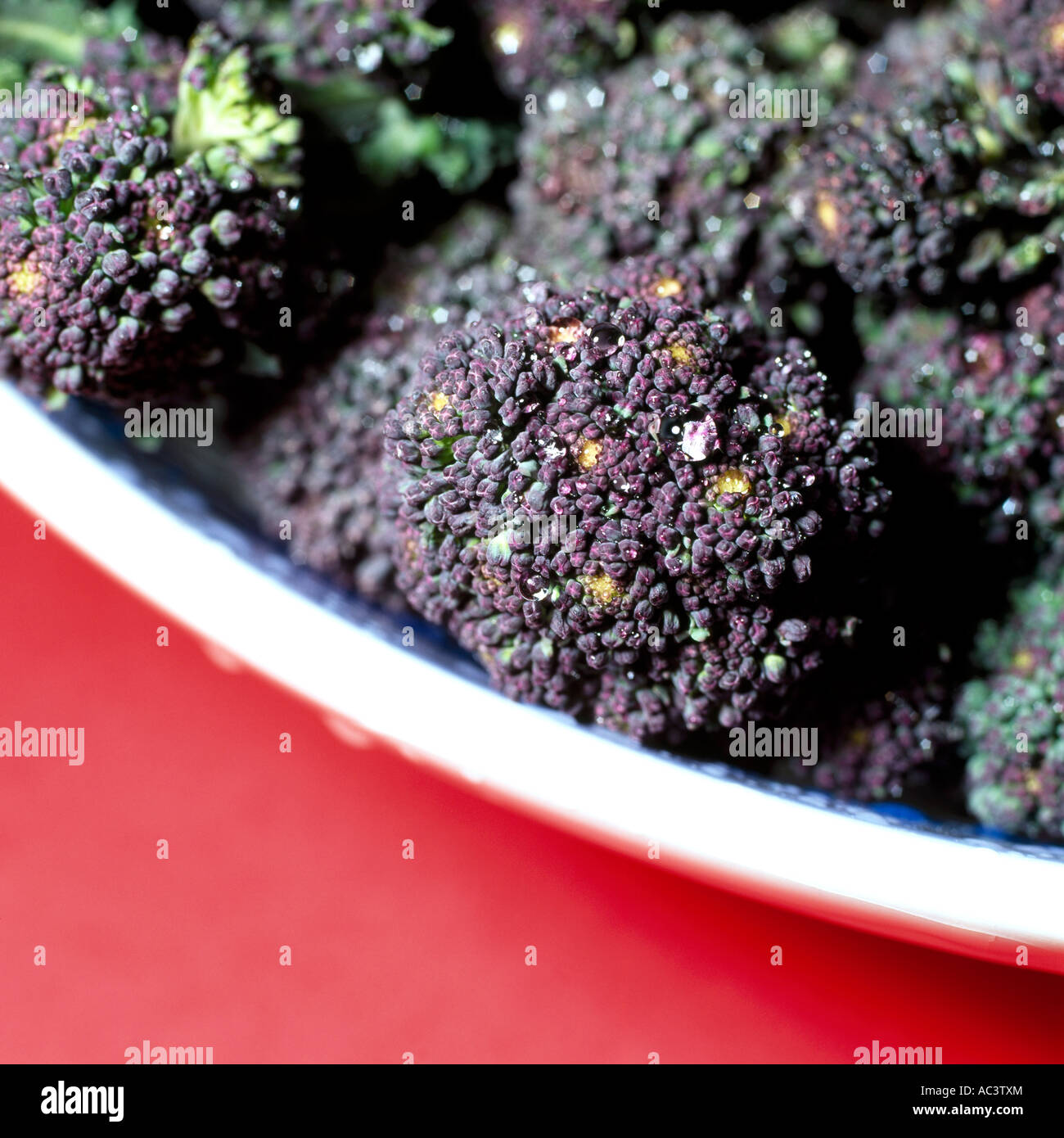 Purple Sprouting Broccoli Stock Photo Alamy