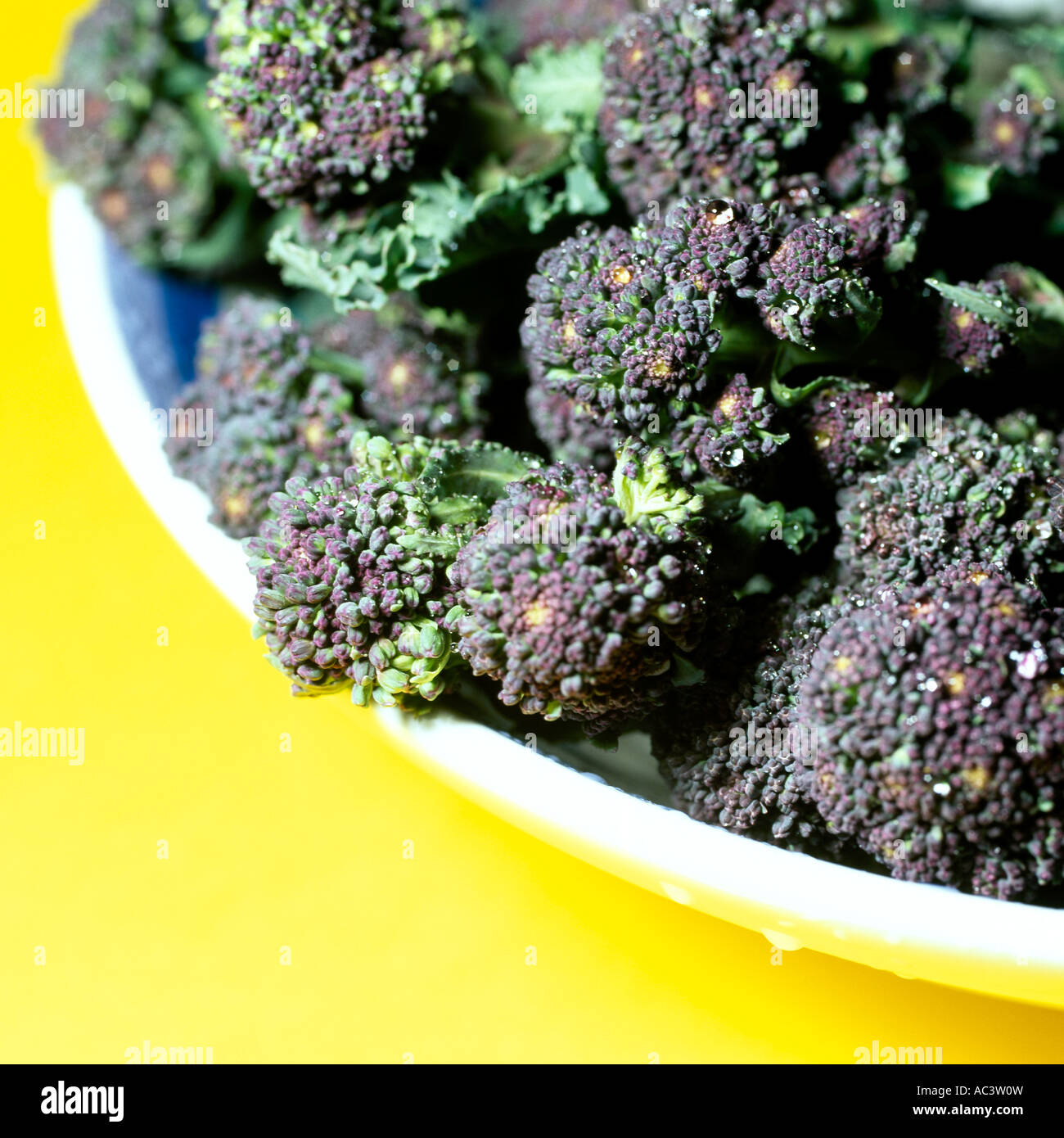 Purple Sprouting Broccoli Stock Photo Alamy