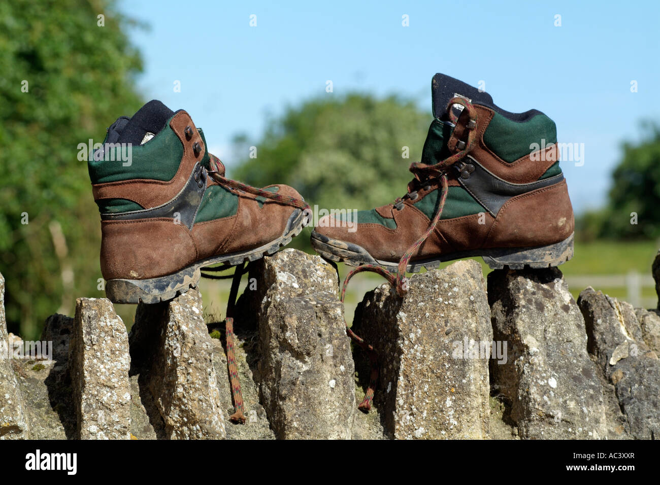 cotswold stowell walking boots
