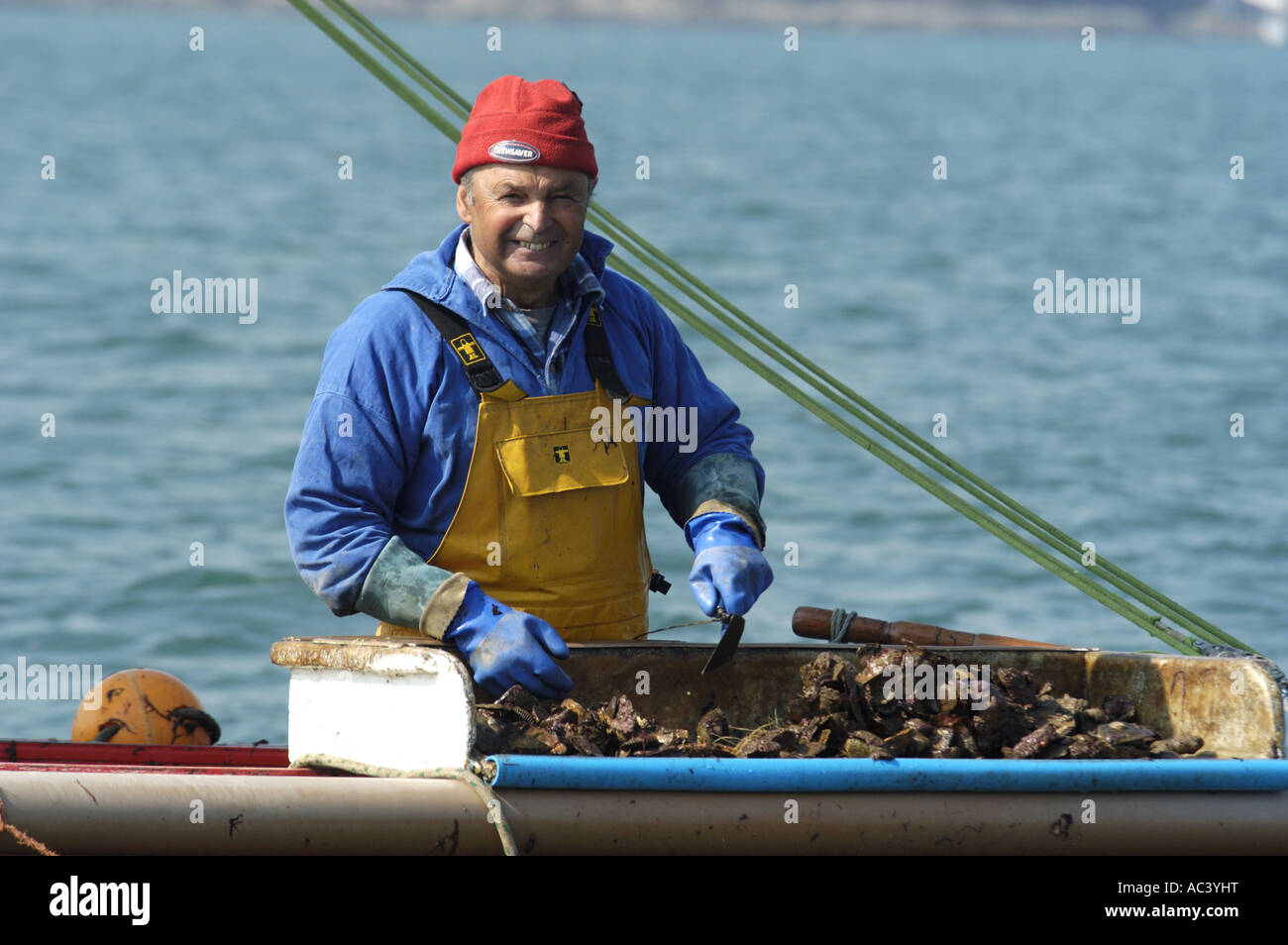 Dredge Oyster Stock Photos & Dredge Oyster Stock Images Alamy