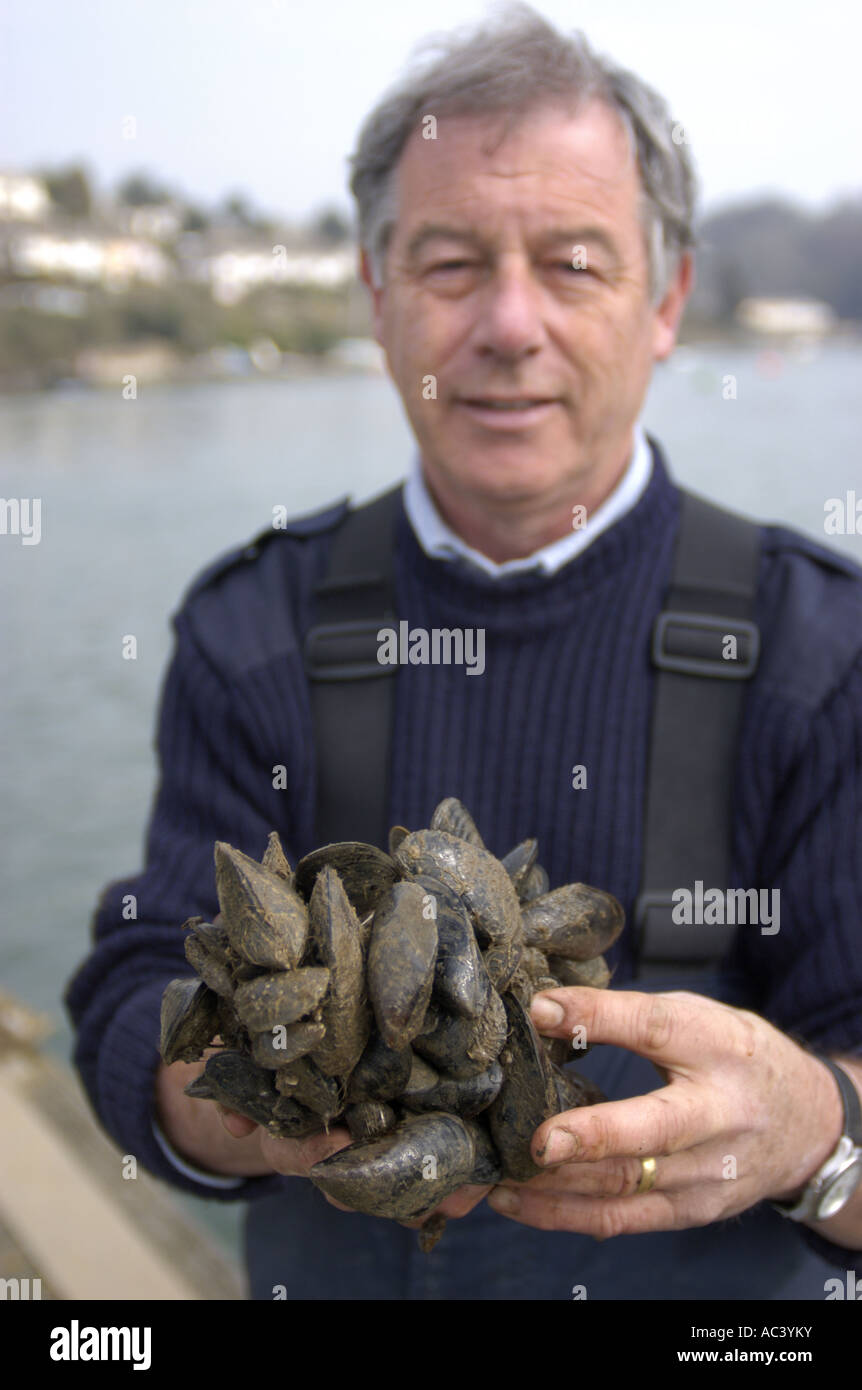 Port Health Officer at Falmouth Docks collects mussel samples from Fal Estuary for water quality testing cornwall england Stock Photo