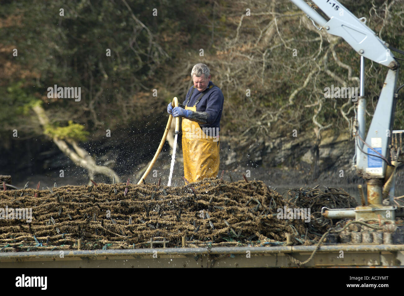 Mussel farm hires stock photography and images Alamy