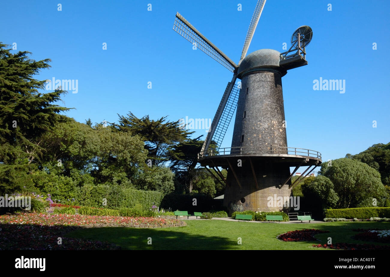 Windmill In The Queen Wilhelmina Tulip Garden Golden Gate Park San Stock Photo Alamy Windmill In The Queen Wilhelmina Tulip Garden Golden Gate Park San Stock Photo Alamy