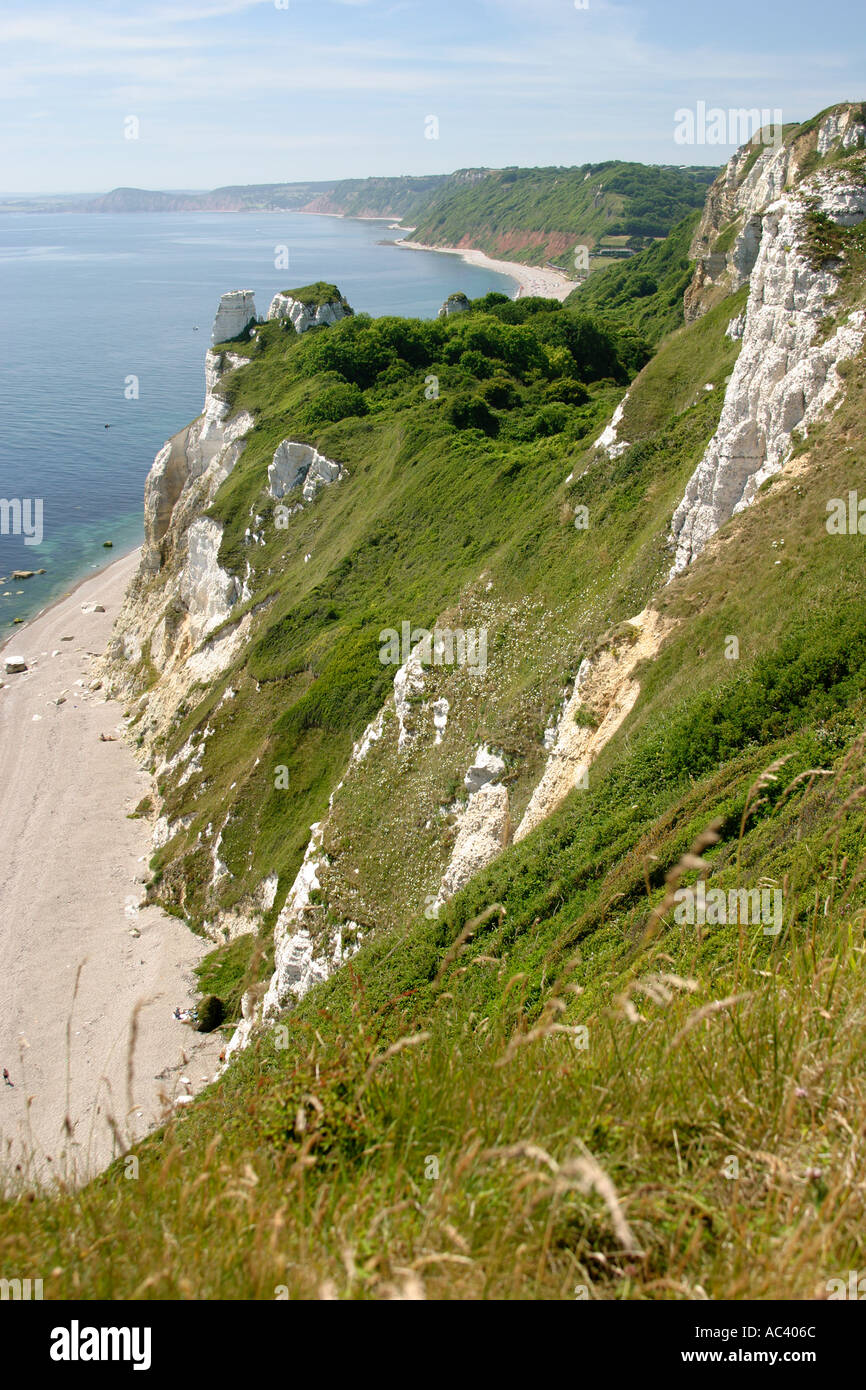Beer Head Devon England UK Stock Photo Alamy