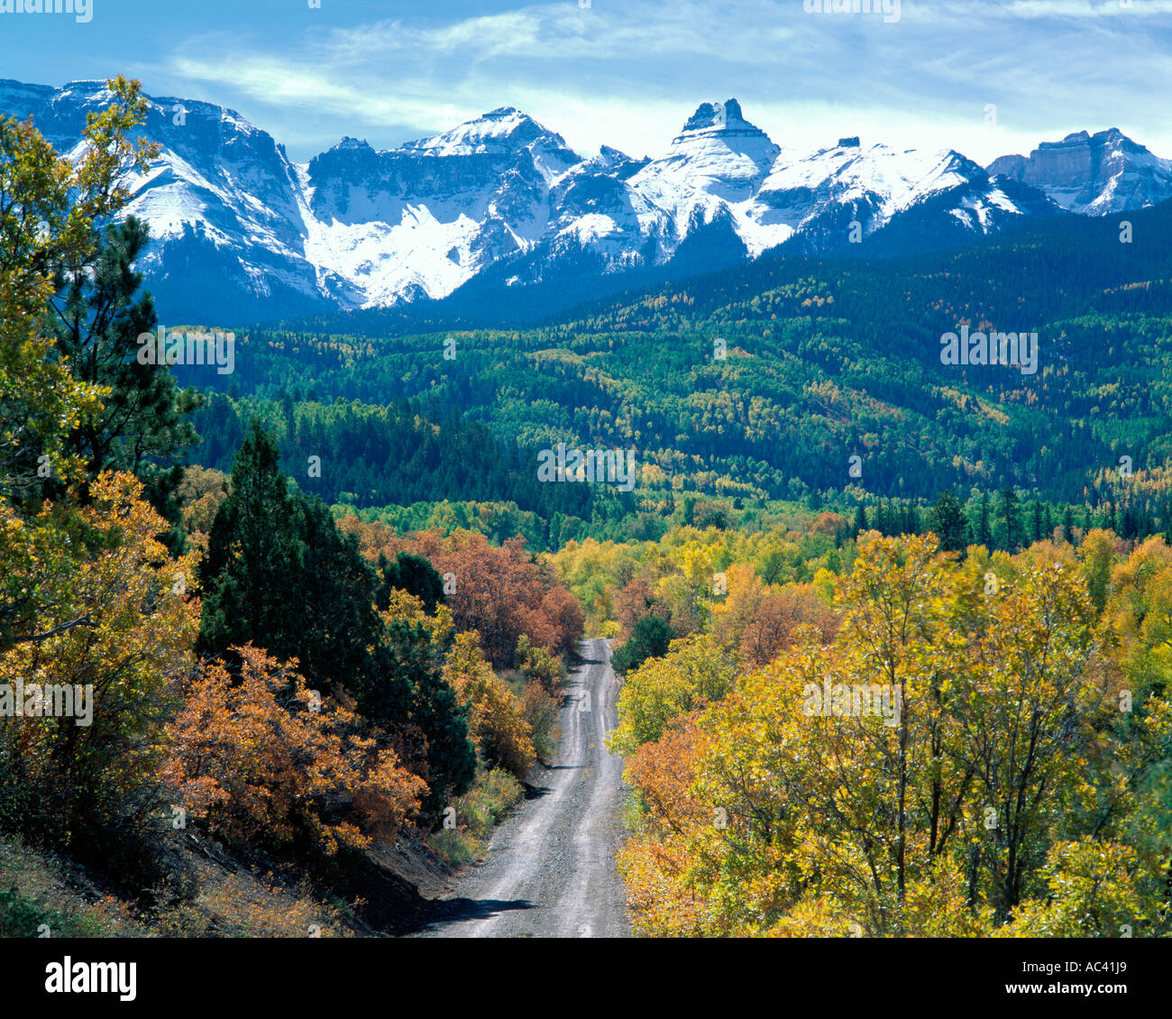 uncompahgre-national-forest-co-country-road-leads-through-autumn