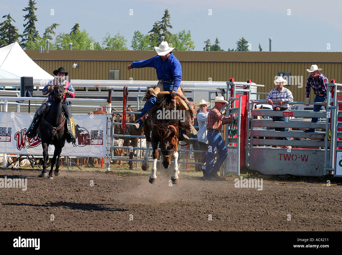 Saddle Bronco Rider Canada Stock Photo - Alamy