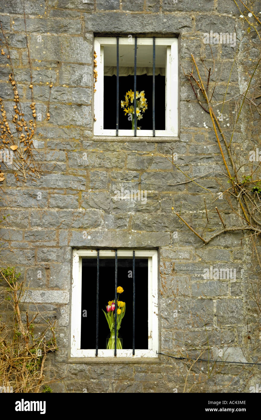 Flowers in windows of Birr Castle Co Offaly Ireland Stock Photo