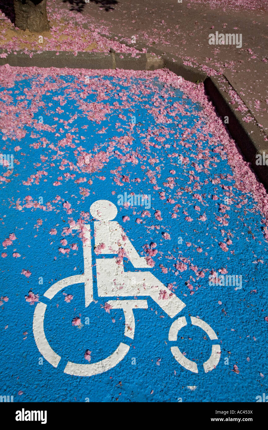 A parking place for disabled people. Emplacement de stationnement réservé aux personnes handicapées. Stock Photo