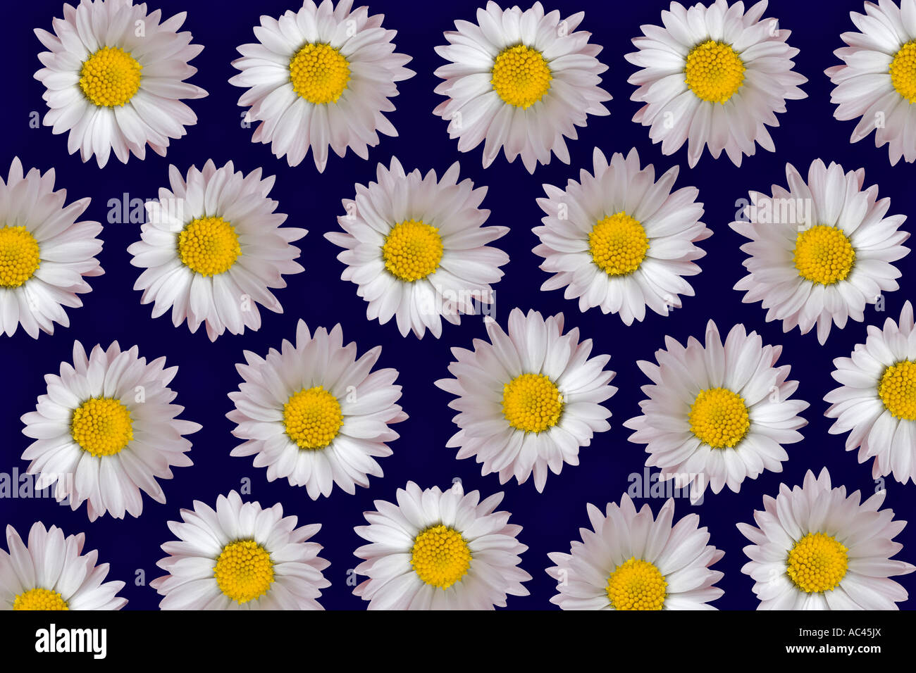 Fleur Detouree High Resolution Stock Photography And Images Alamy