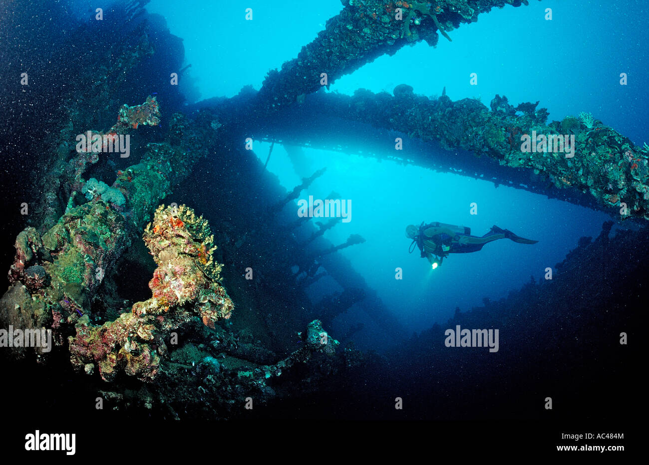 Scuba diver diving on Umbria shipwreck Sudan Africa Red Sea Wingate Reef Stock Photo