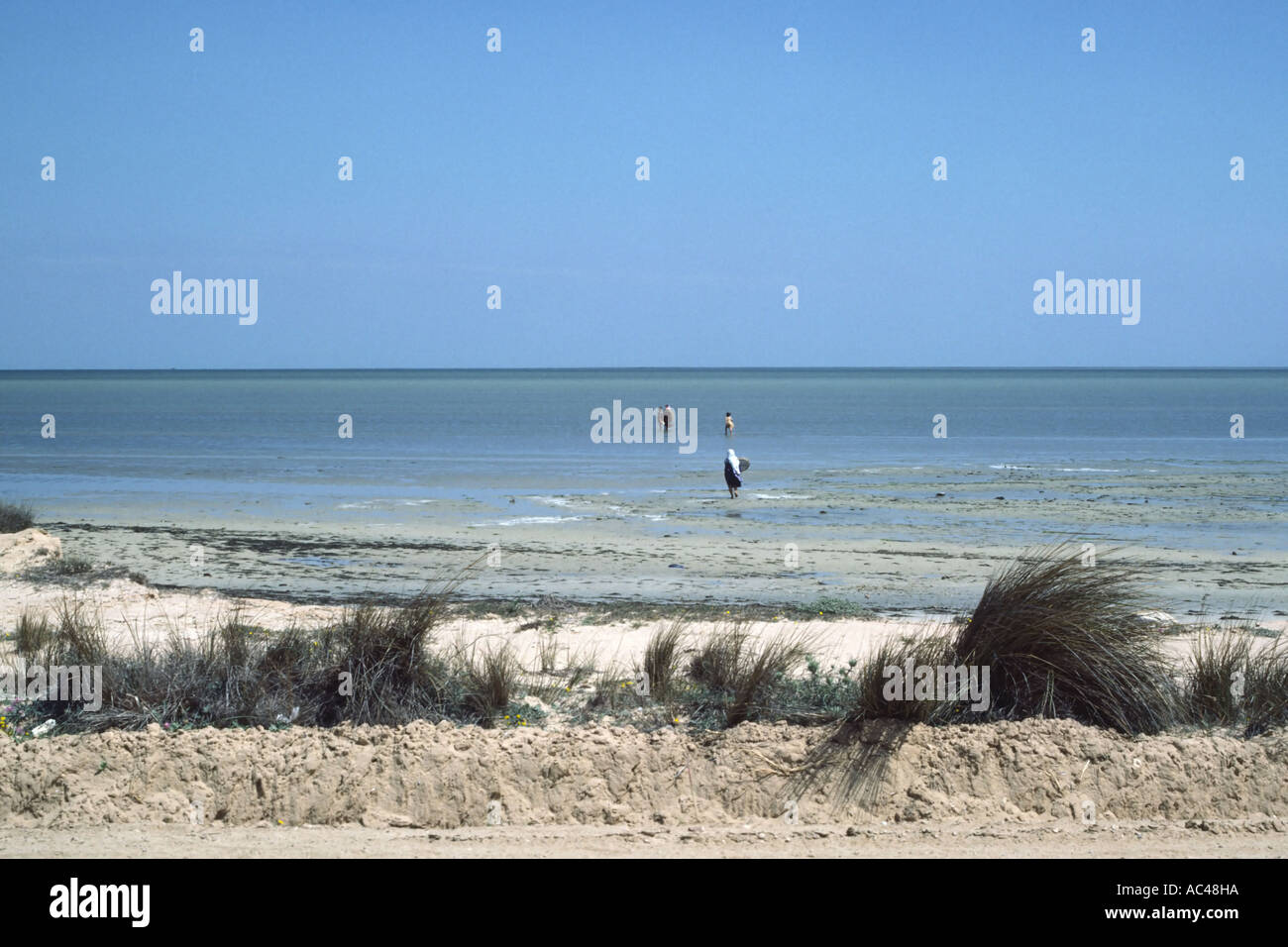 Arab women paddling in the sea off the Mediterranean coast near Tunis ...