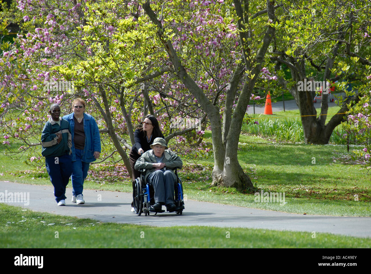 Caretaker pushing wheelchair bound patient Stock Photo Alamy