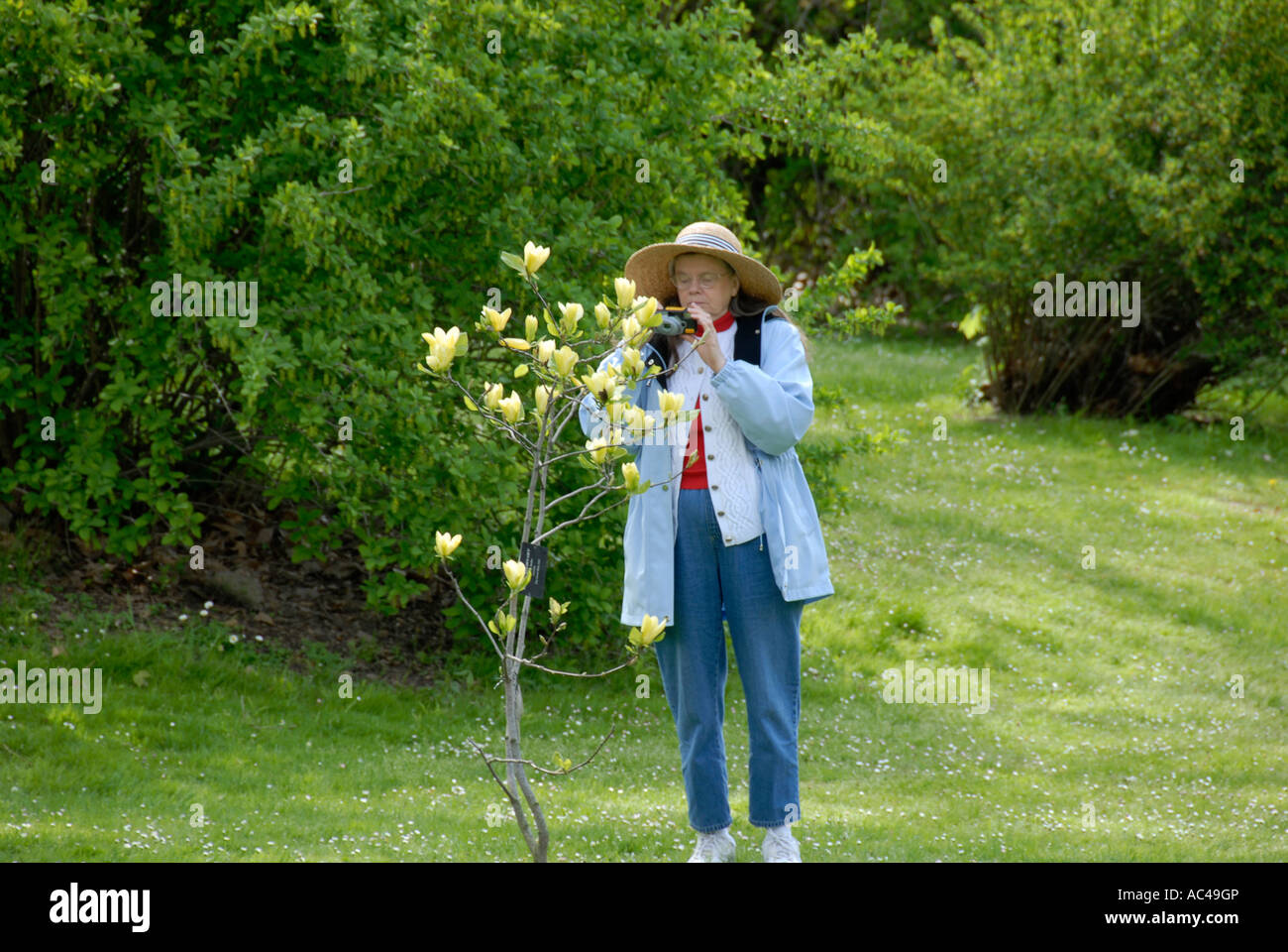 Lady hat flowers hi-res stock photography and images - Alamy