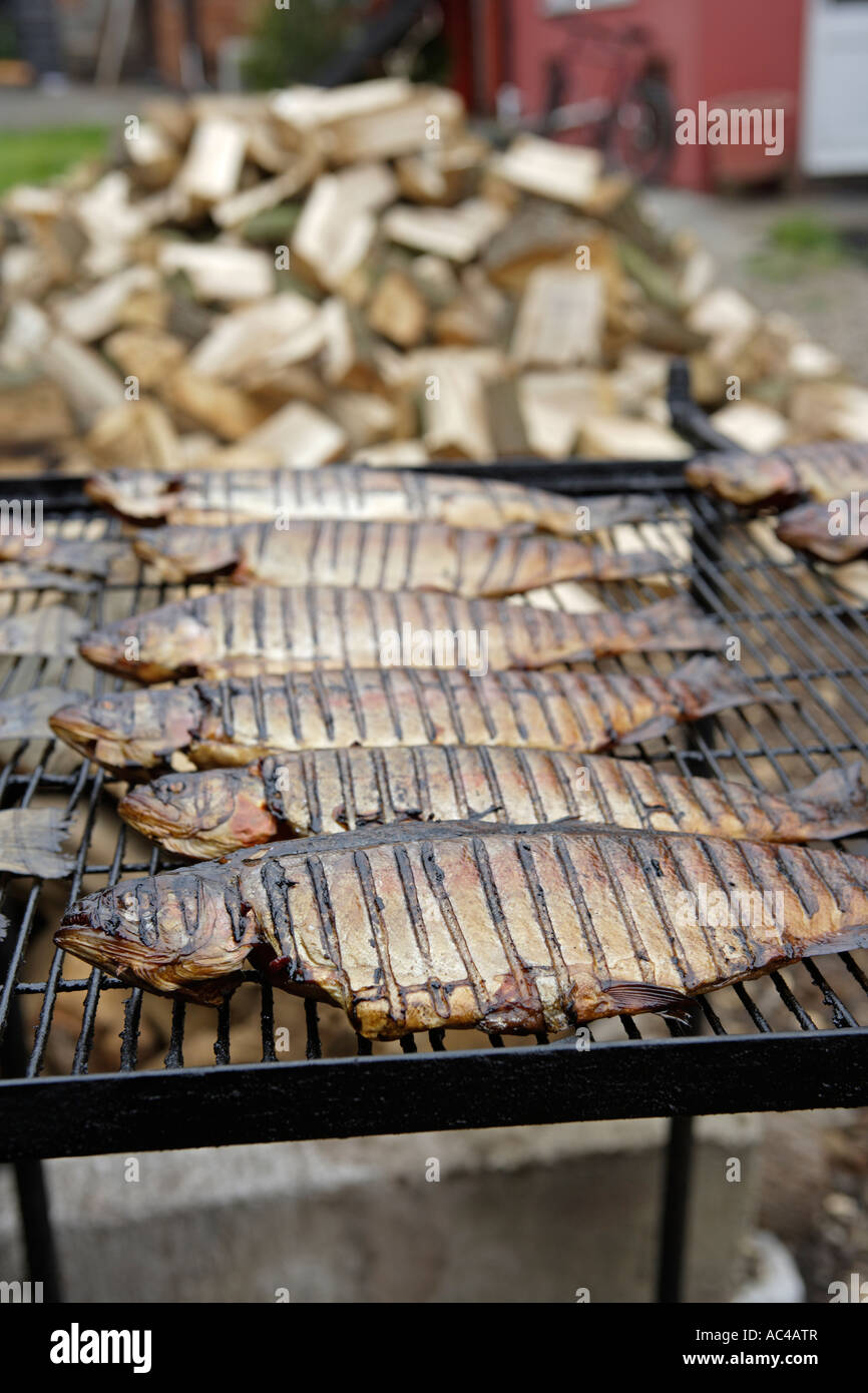 Smoking fish hires stock photography and images Alamy