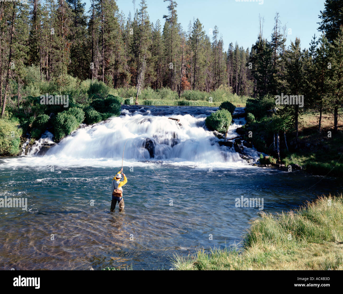 Fly fishing at Fall Creek in Central Oregon Stock Photo 805693 Alamy