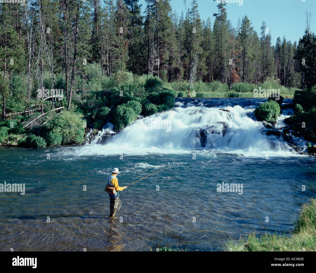 Fly fishing at Fall Creek in Central Oregon Stock Photo Alamy