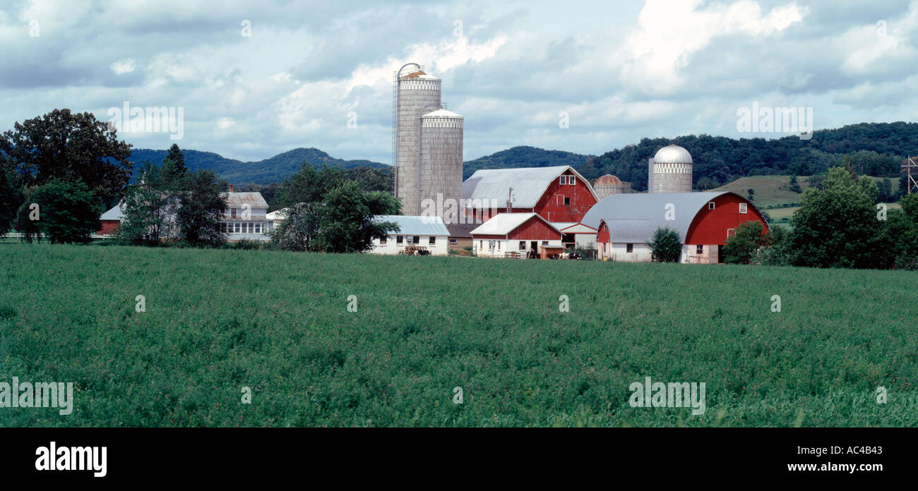 Wisconsin dairy farm with silos barns and outbuildings surrounded by ...