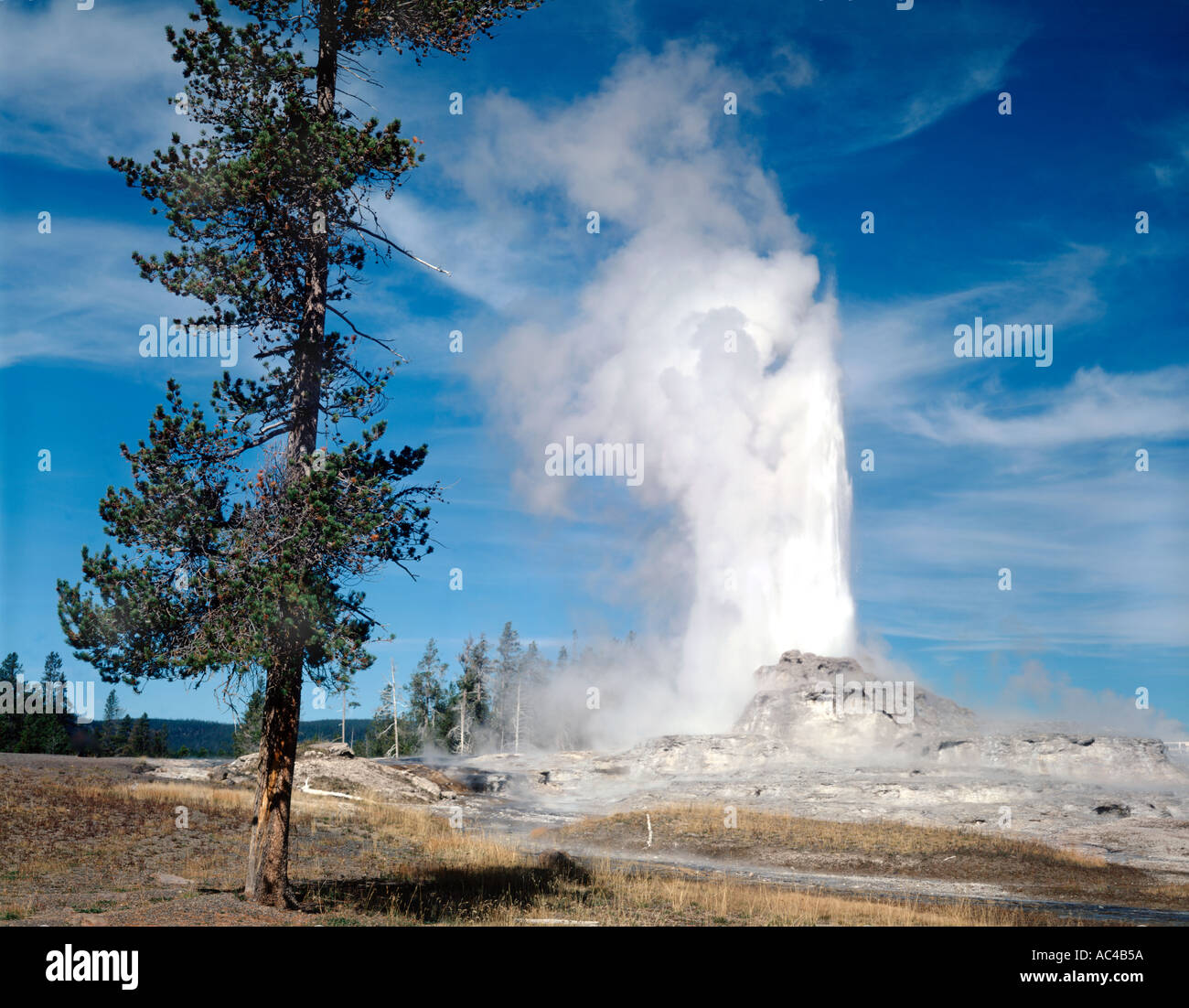 Yellowstone National Park in Wyoming showing Castle Geyser erupting ...