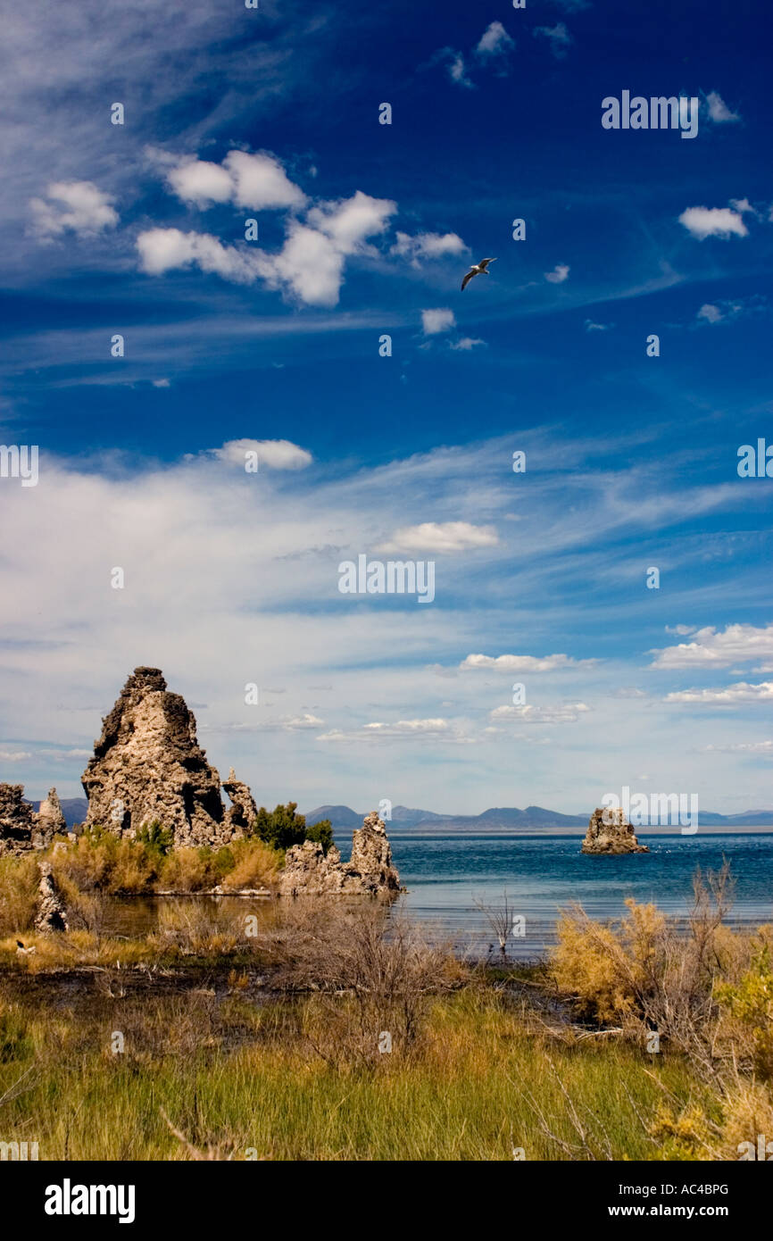 Mono Lake is an alkaline and hypersaline lake in Mono County, California Stock Photo