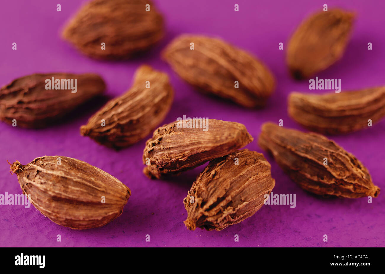 WHOLE CARDAMON PODS Stock Photo Alamy