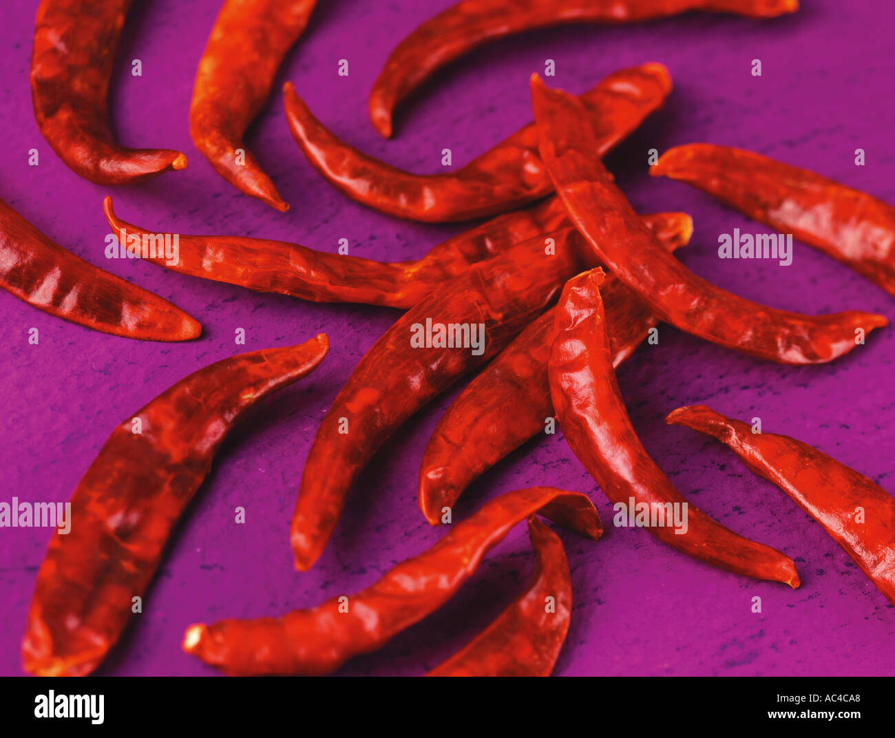 WHOLE DRIED CHILLIS Stock Photo