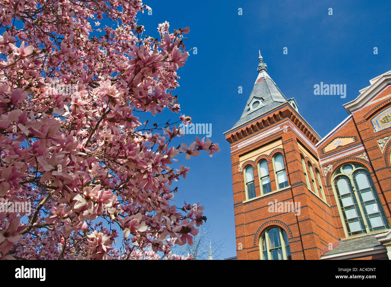 Smithsonian Arts and industries building Washington DC USA Stock Photo