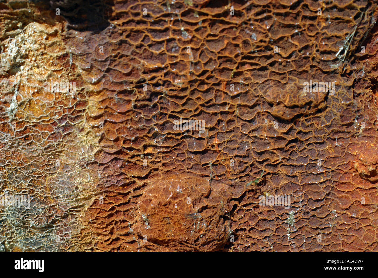 Close up of Rust on the SS Maheno Shipwreck Fraser Island Australia Stock Photo