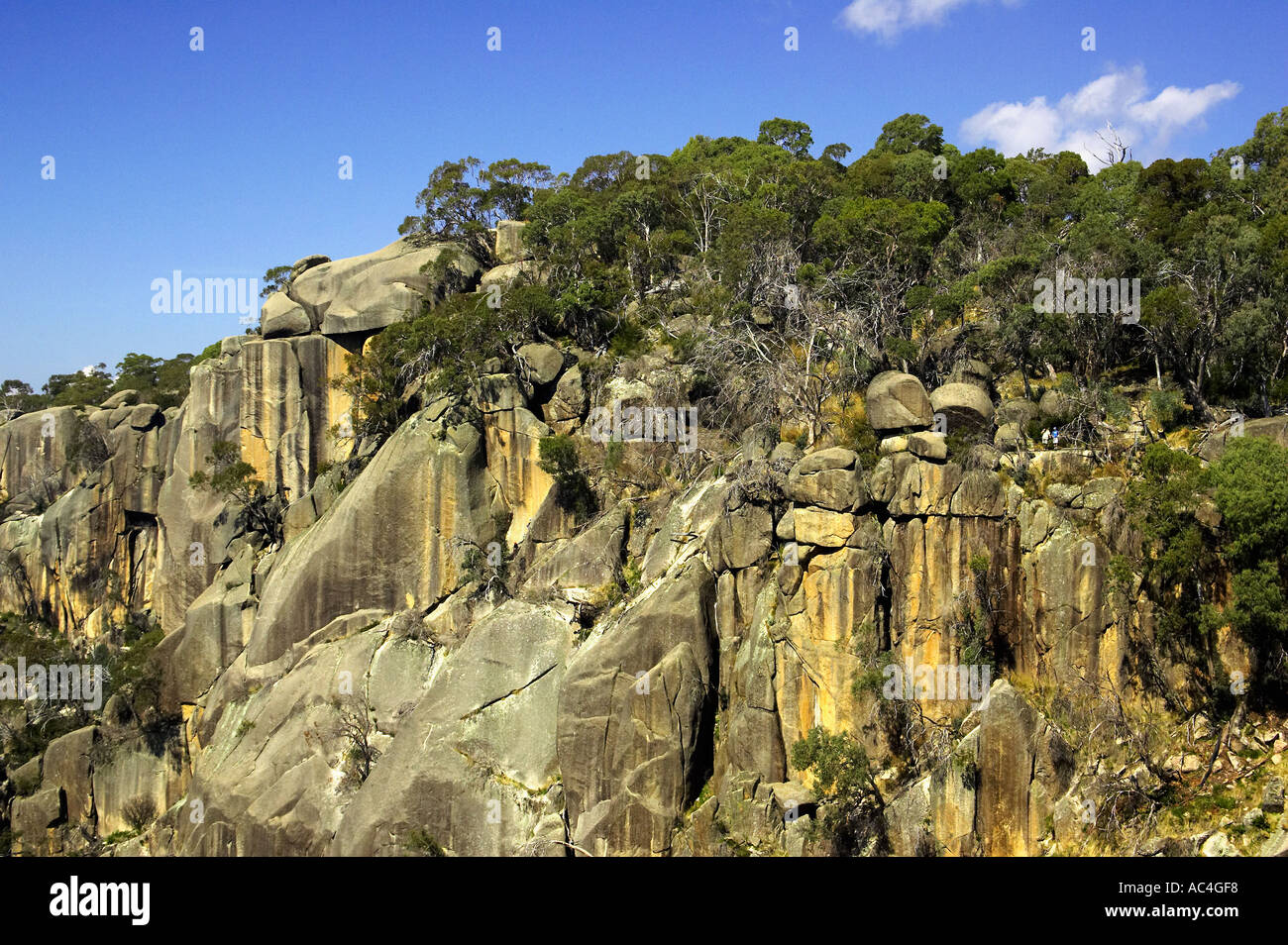 Gorge Lookout The Gorge Mount Buffalo National Park Victoria Australia Stock Photo