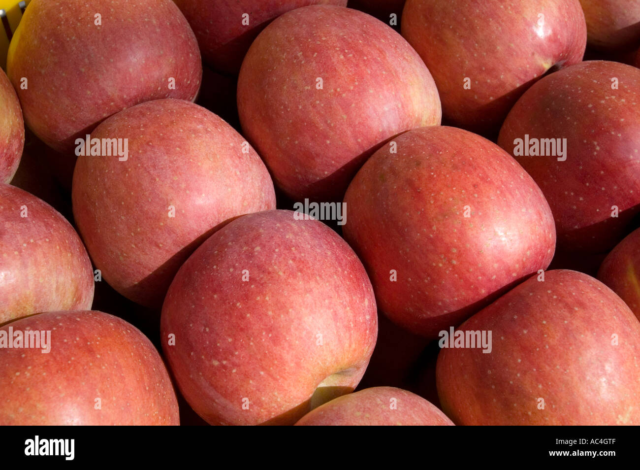 Apples for sale in a Daegu, South Korea, street market Stock Photo Alamy