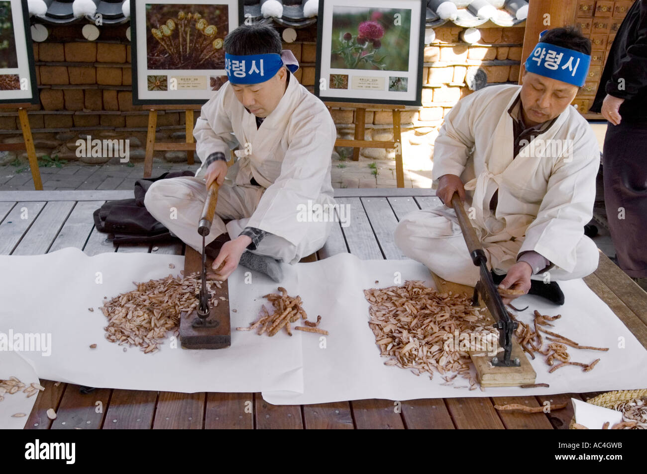 Medicinal herb preparations being demonstrated in Daegu, South Korea. Stock Photo