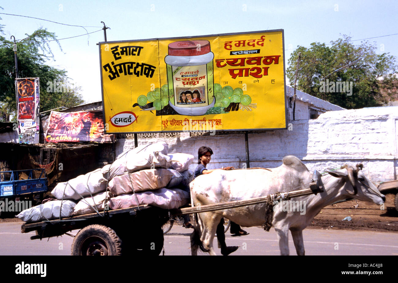 Old Delhi  Uttar Pradesh India Cow cart Stock Photo