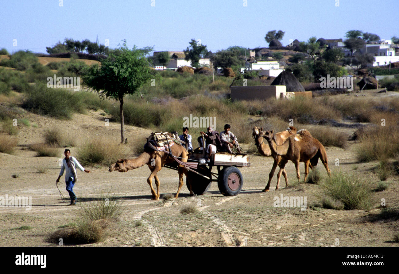 India Indian Rajasthan horse cart farm farmer Stock Photo