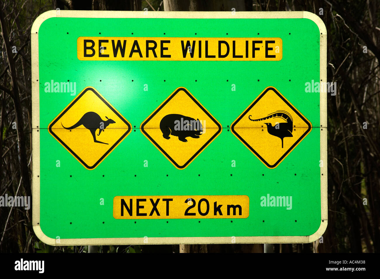 Kangaroo Wombat and Lyrebird Warning Sign Mount Buffalo National Park Victoria Australia Stock Photo