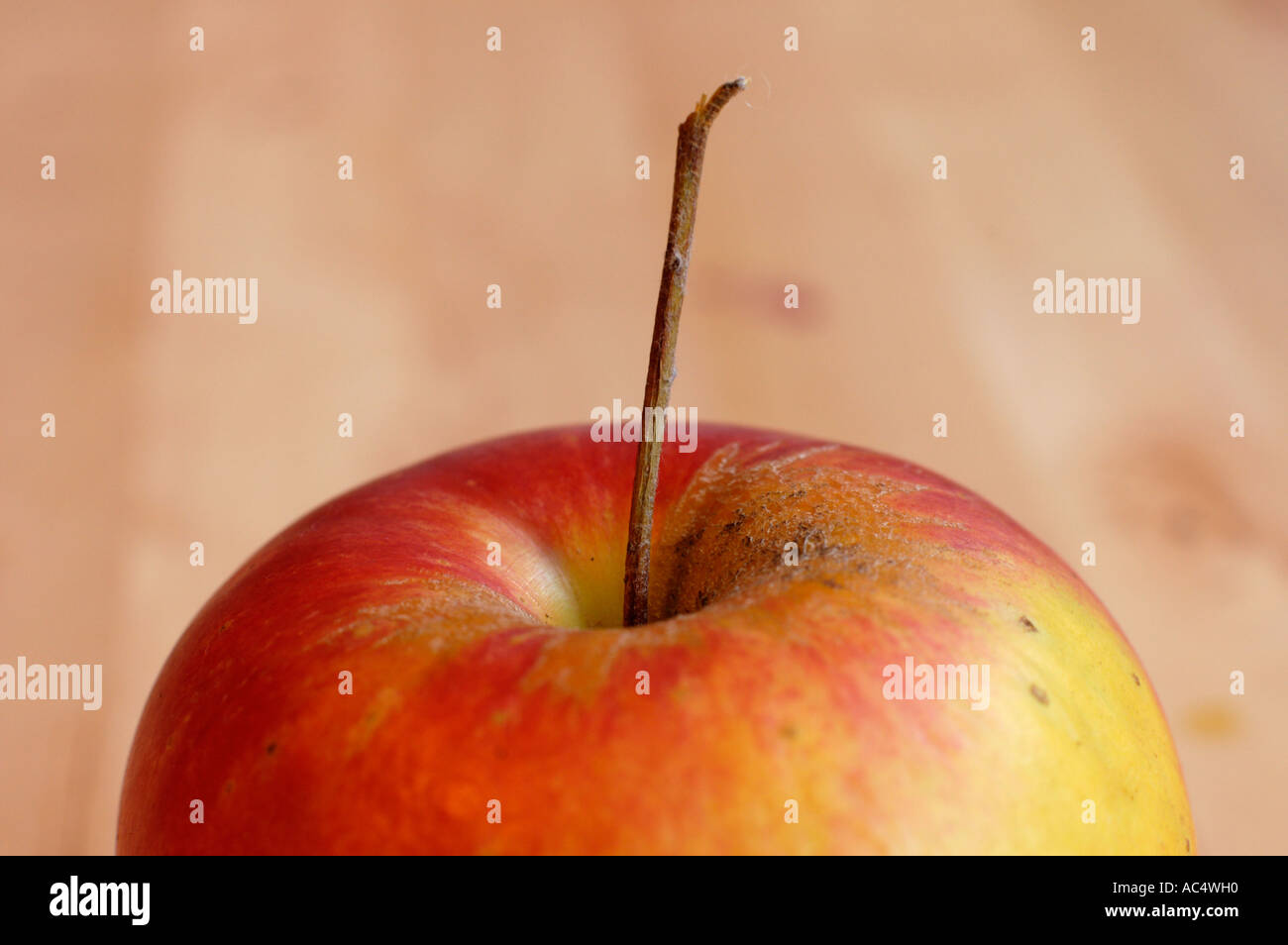 fruit apple Stock Photo