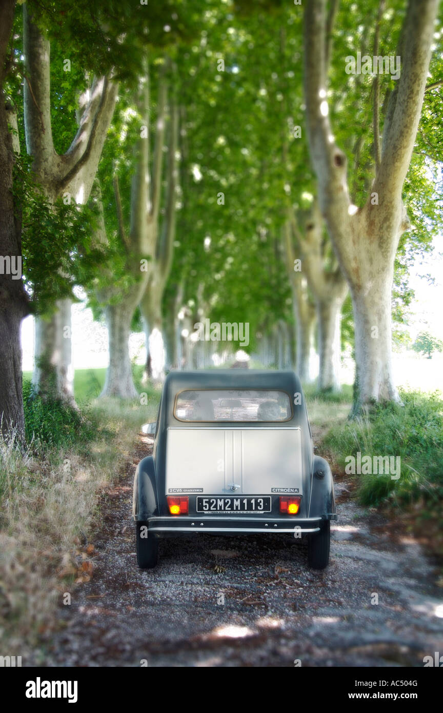citroen 2cv on country road with dappled light Stock Photo