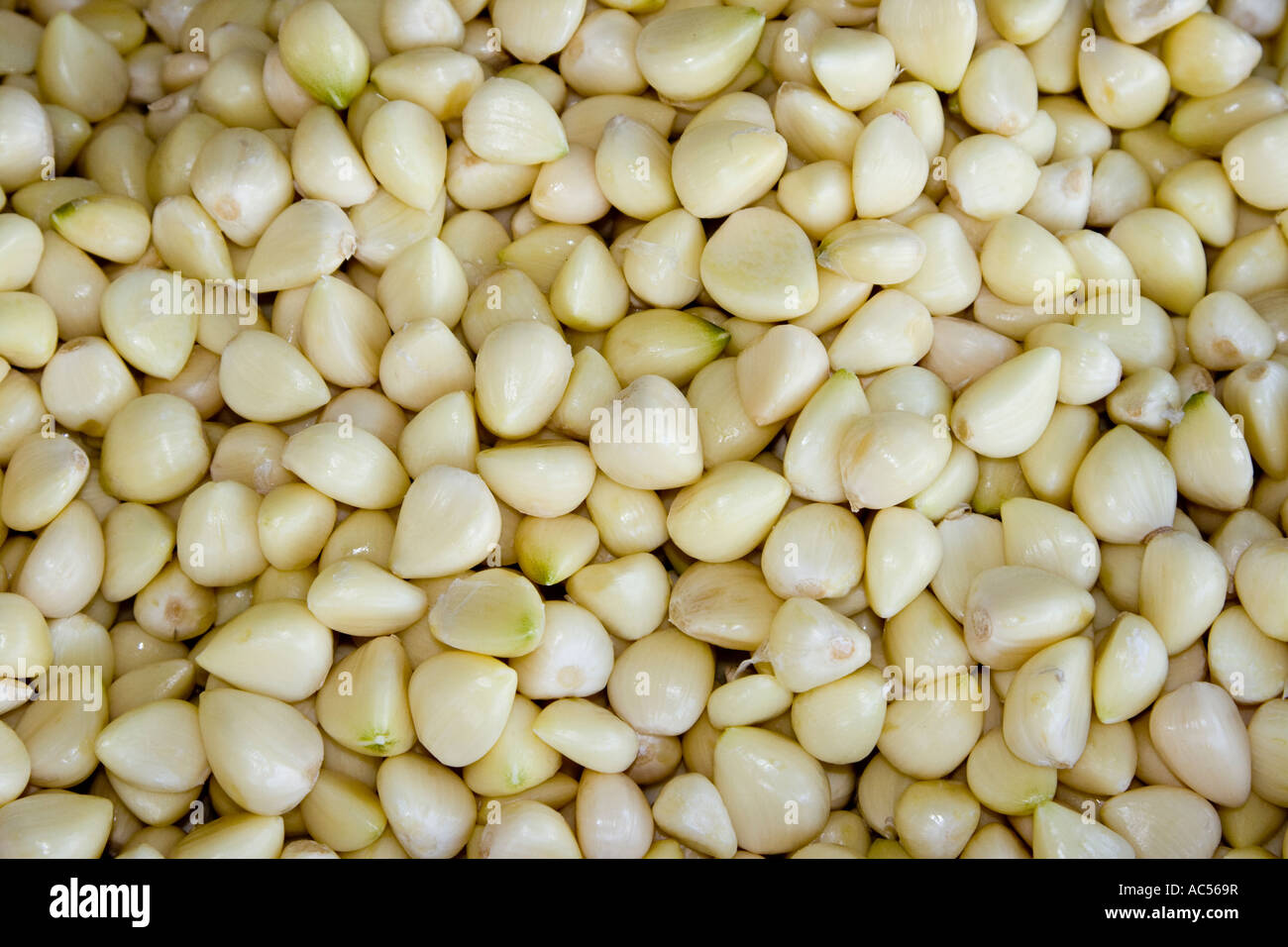 Screenfill Fresh Peeled Cloves of Garlic at Market Sokcho South Korea Stock Photo