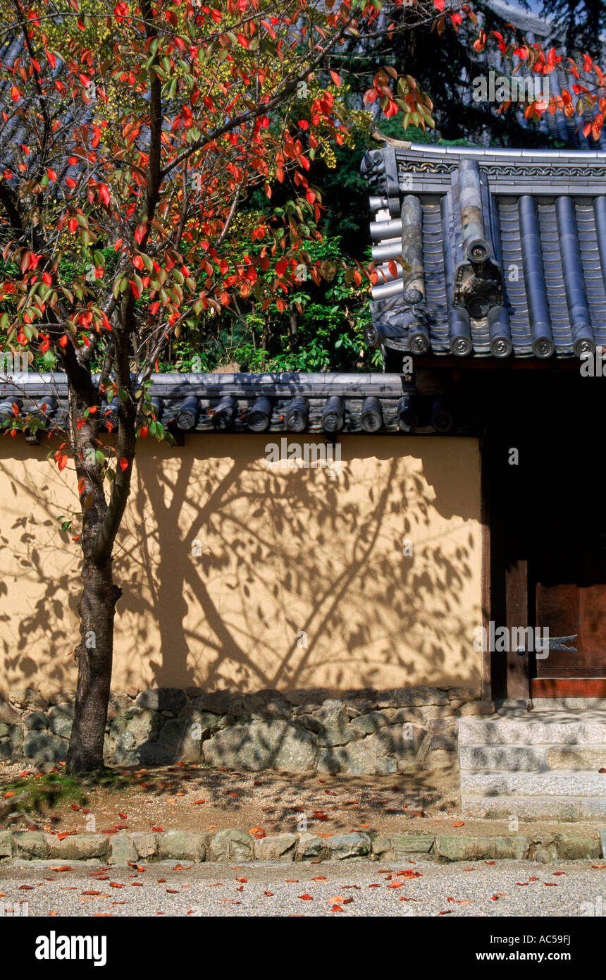 Traditional Japanese tile roofed gate and wall, with autumnal tree in sunlight, Japan Stock Photo
