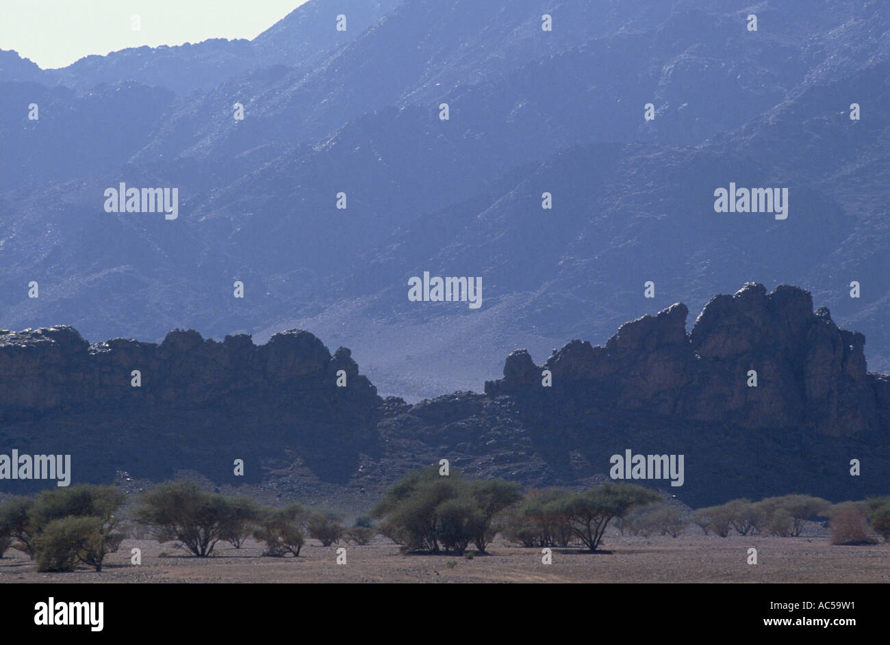 Hejaz Stock Photos & Hejaz Stock Images Alamy